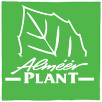 Almeerplant