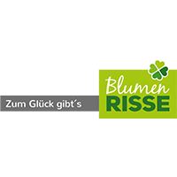 Blumen Risse