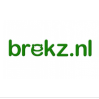 Brekz logo