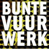 Bunte vuurwerk logo