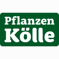 https://nieuwefolderz.nl/images/brand/pflanzen-kolle.jpg