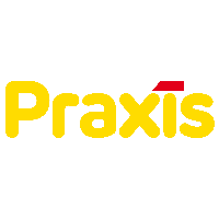 Praxis city logo